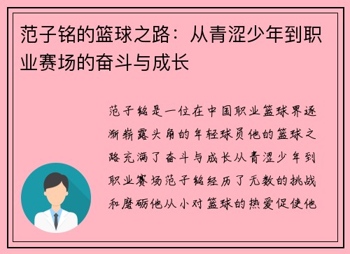 范子铭的篮球之路:从青涩少年到职业赛场的奋斗与成长